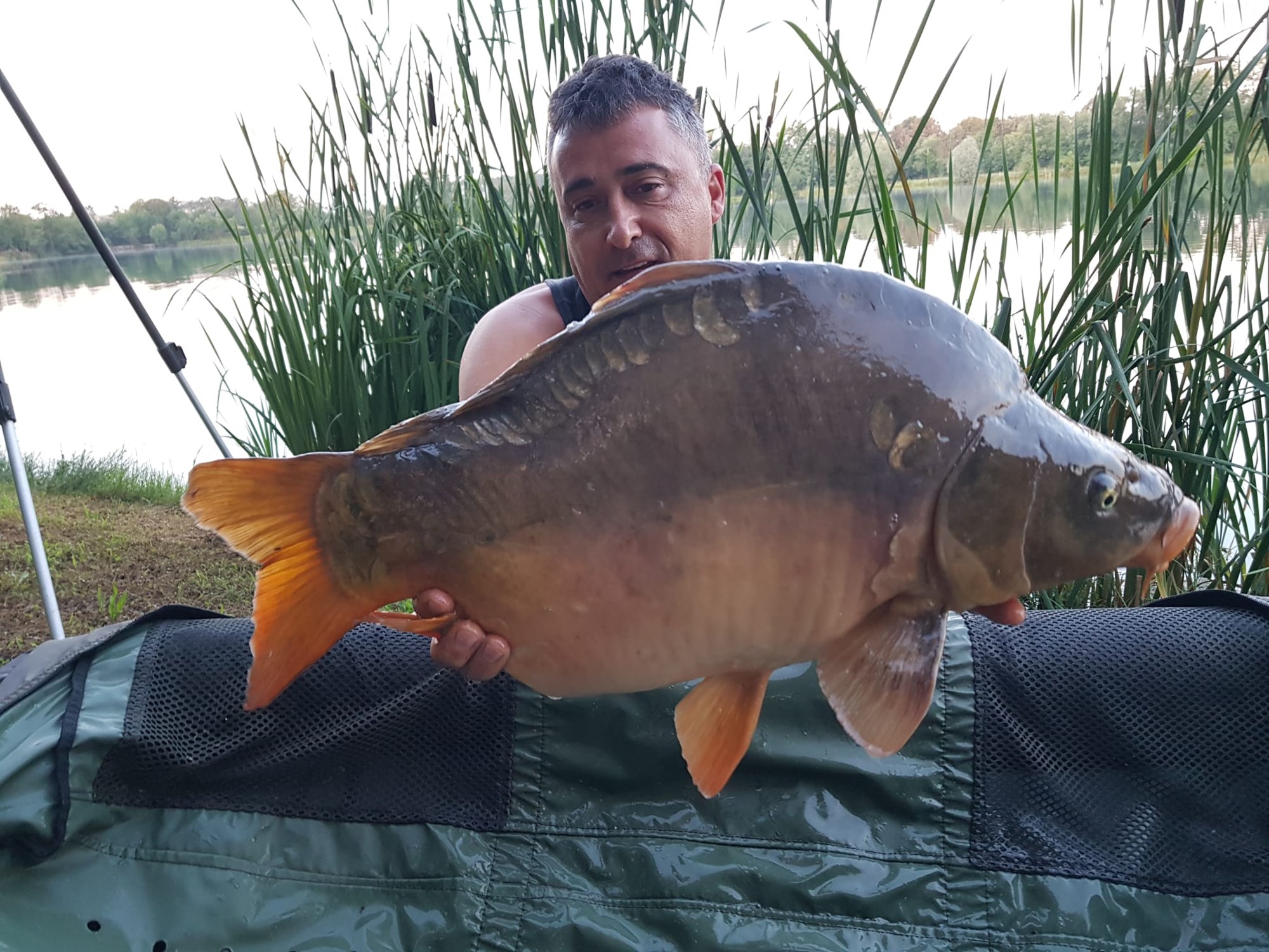 ISOLA DEL PESCATORE 23 - 24 iunie 2020 - IMG20200624WA0004.jpg